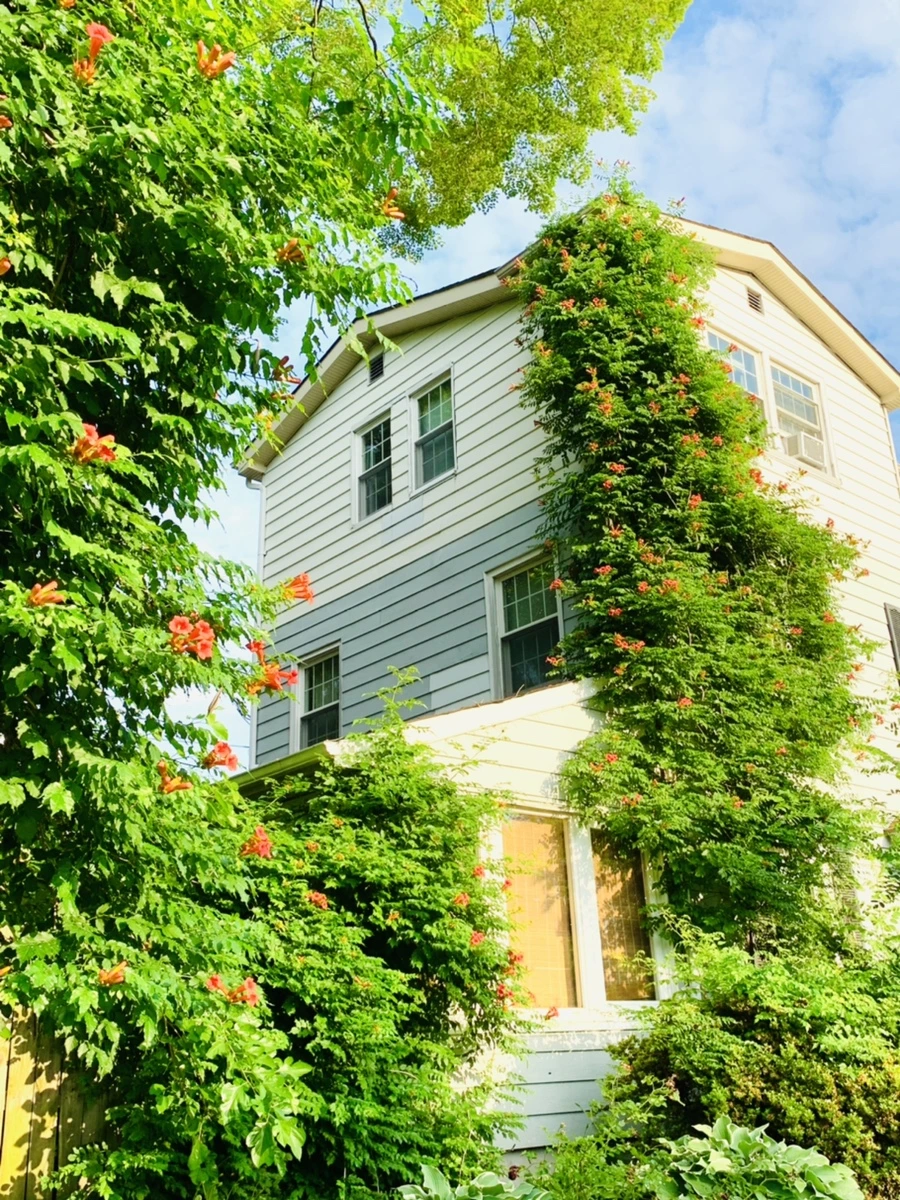 IMG_5853.jpg?type=w966