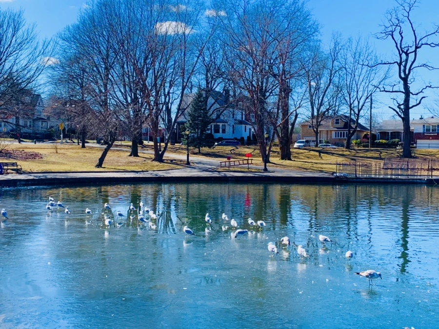 IMG_8762.jpg?type=w966