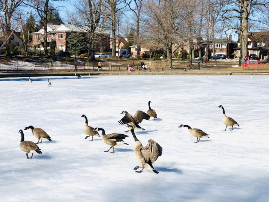 IMG_4841.jpg?type=w966