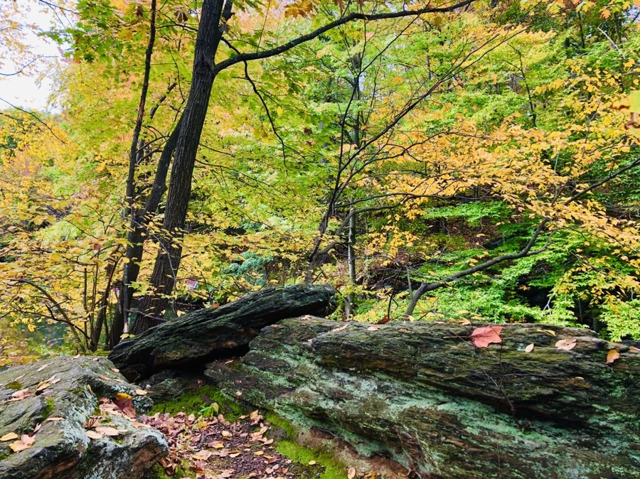 IMG_2273.jpg?type=w966