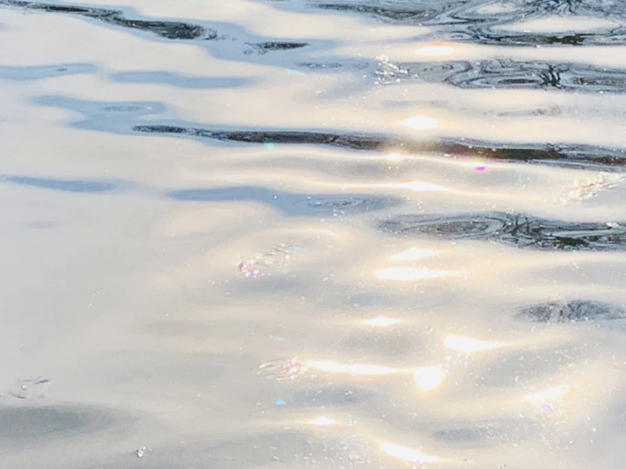 IMG_0381.jpg?type=w966