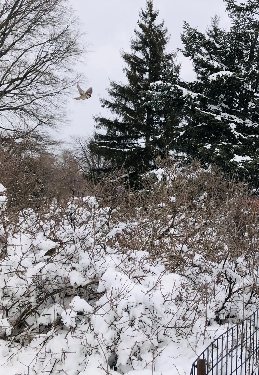 IMG_9546.jpg?type=w966