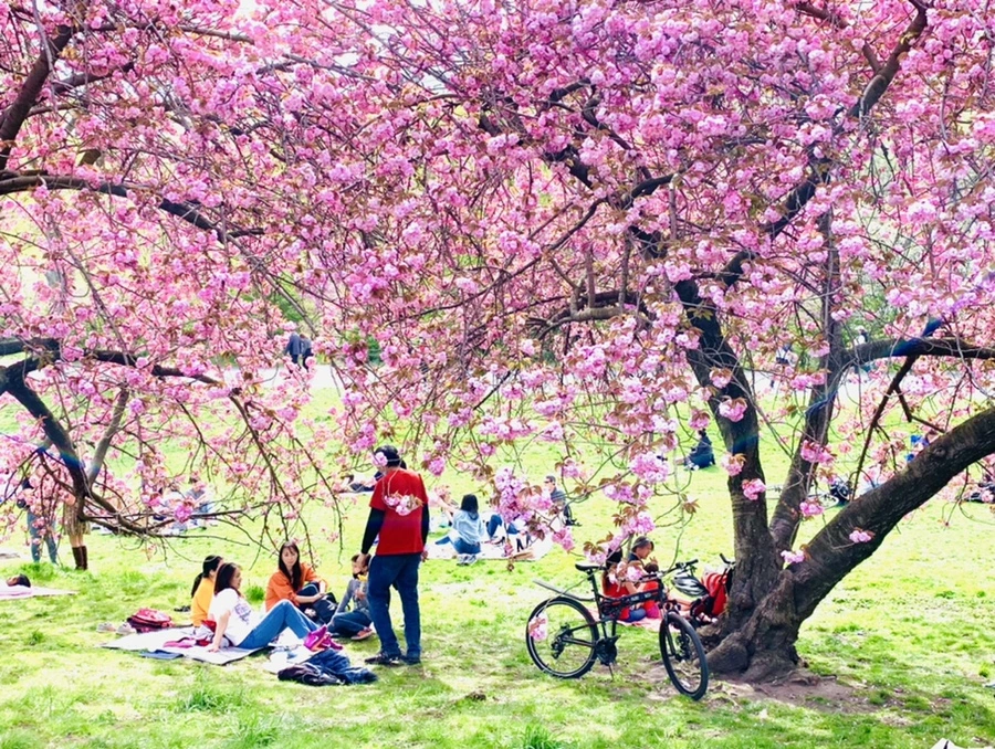 IMG_5192.jpg?type=w966