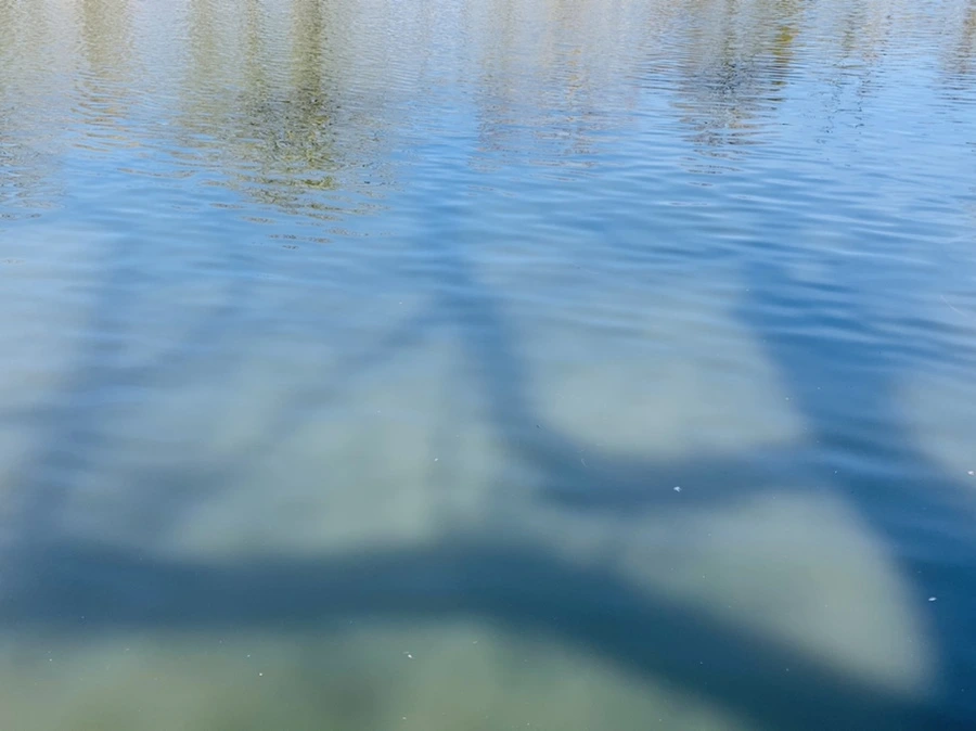 IMG_3348.jpg?type=w966