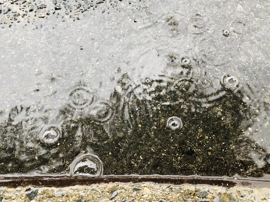 IMG_5102.jpg?type=w966