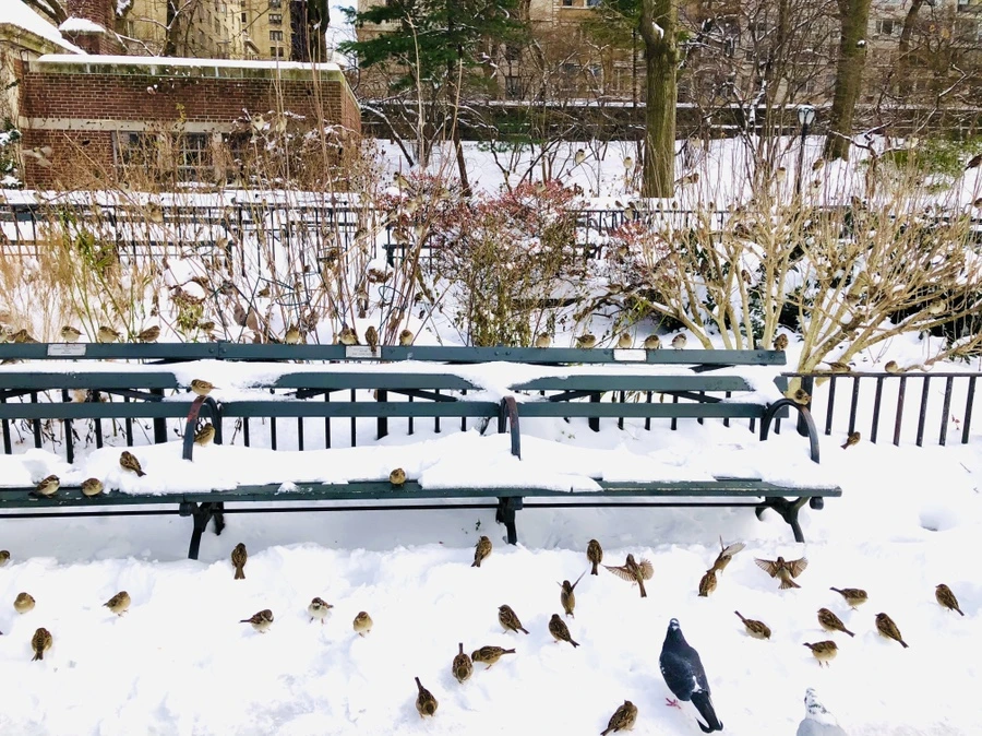 IMG_7252.jpg?type=w966