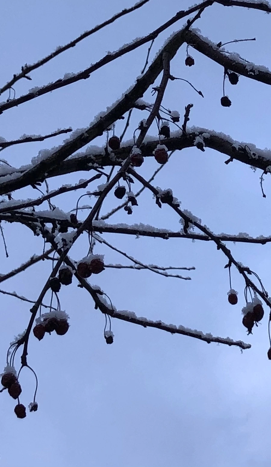 IMG_4454.jpg?type=w966