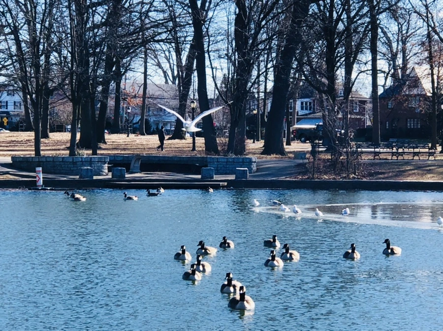 IMG_5427.jpg?type=w966