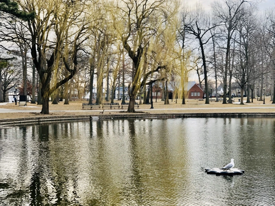 IMG_5993.jpg?type=w966