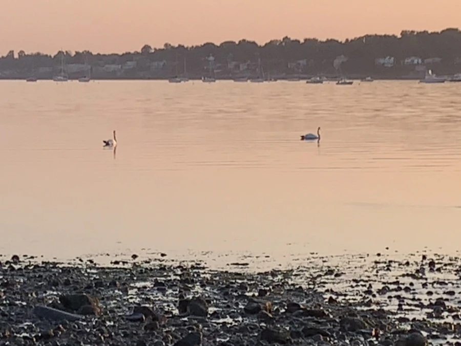 IMG_0211.jpg?type=w966