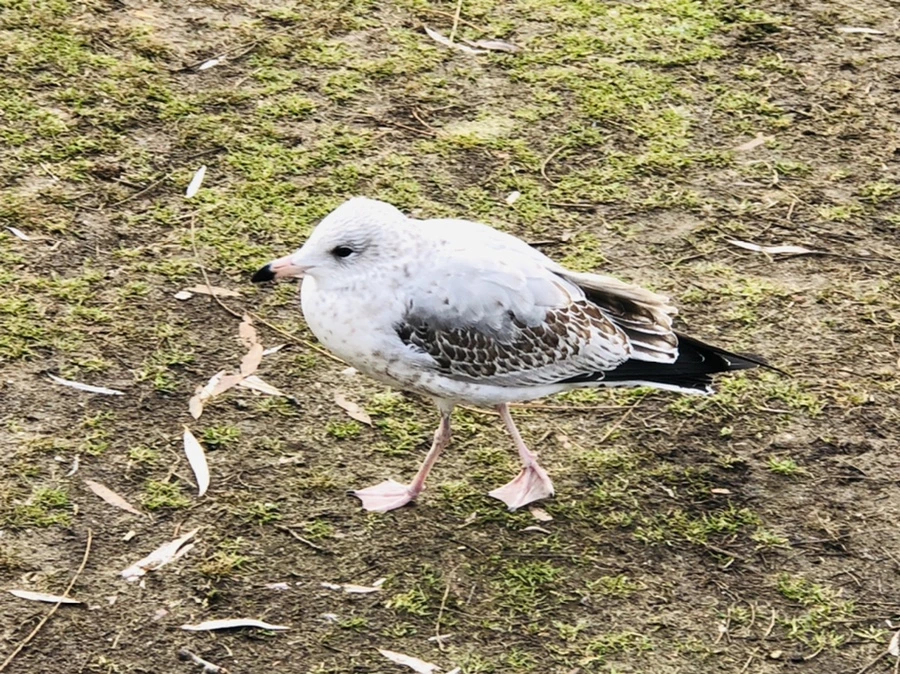 IMG_9906.jpg?type=w966