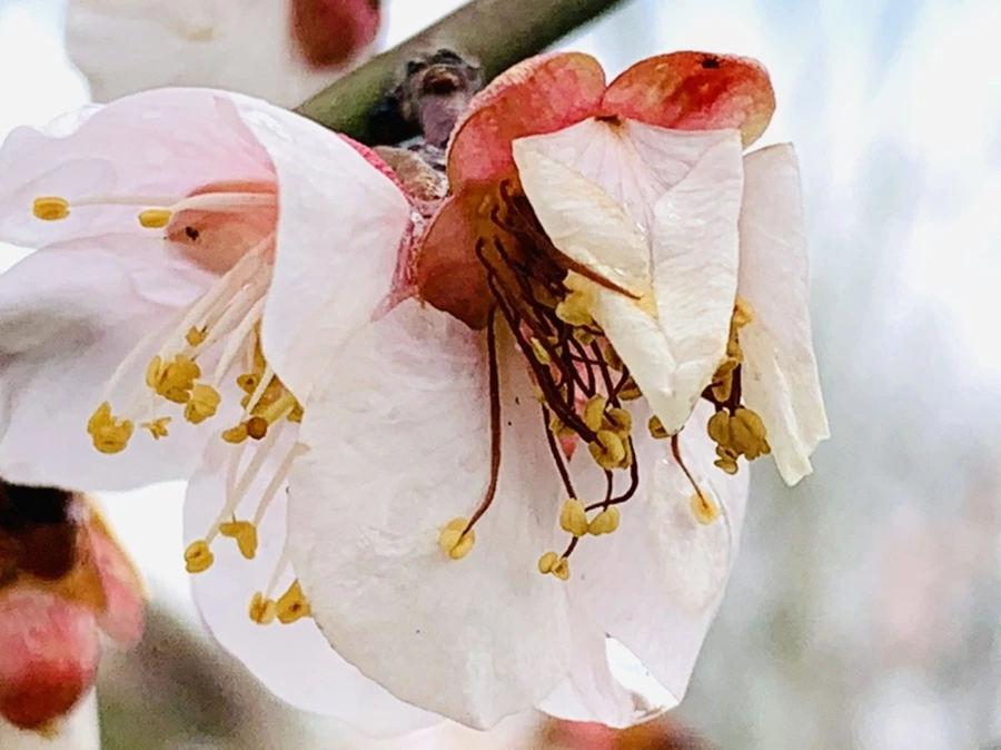 IMG_3919.jpg?type=w966