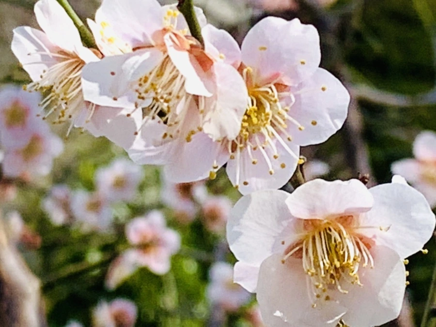 IMG_0994.jpg?type=w966