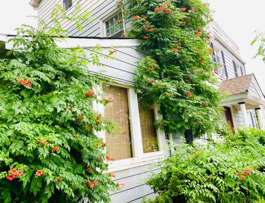 IMG_0021.jpg?type=w966