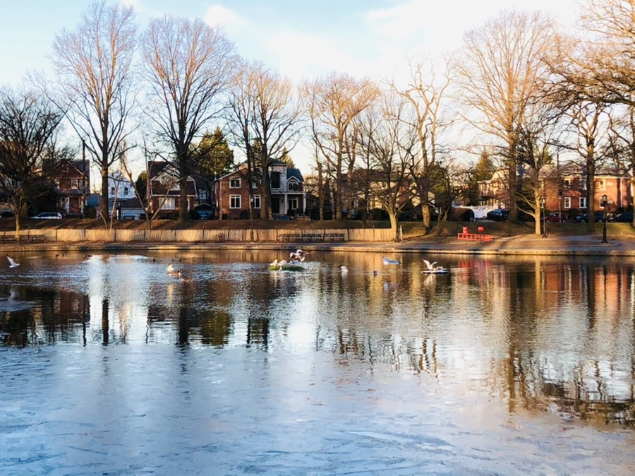 IMG_0784.jpg?type=w966