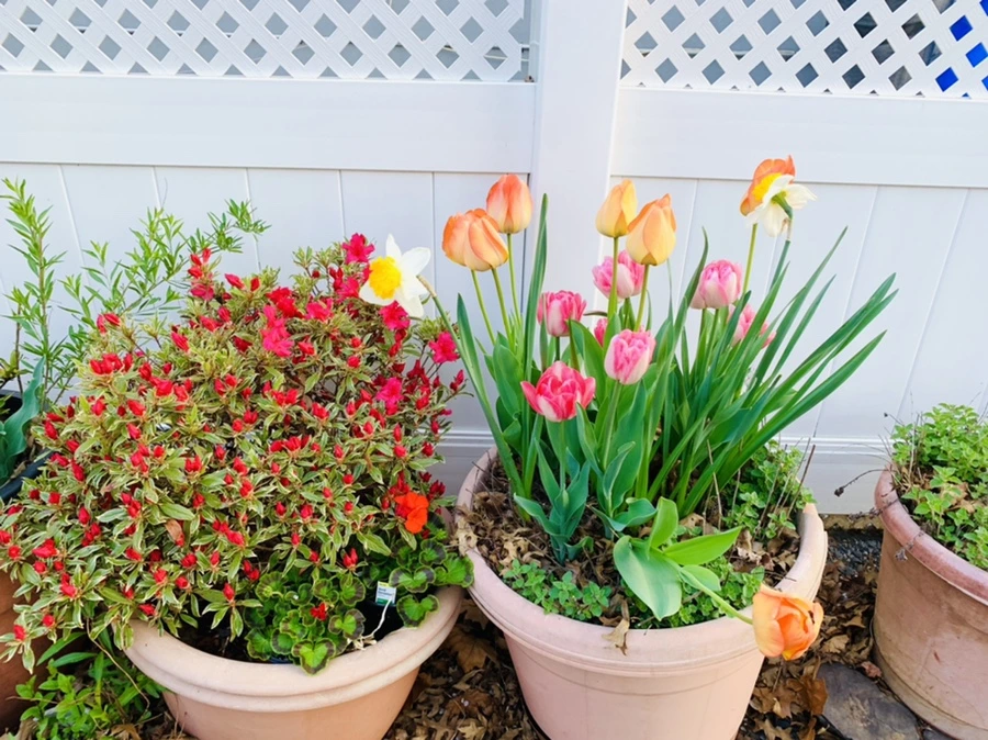 IMG_3574.jpg?type=w966