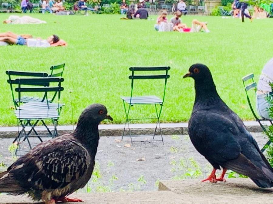 IMG_5024.jpg?type=w966