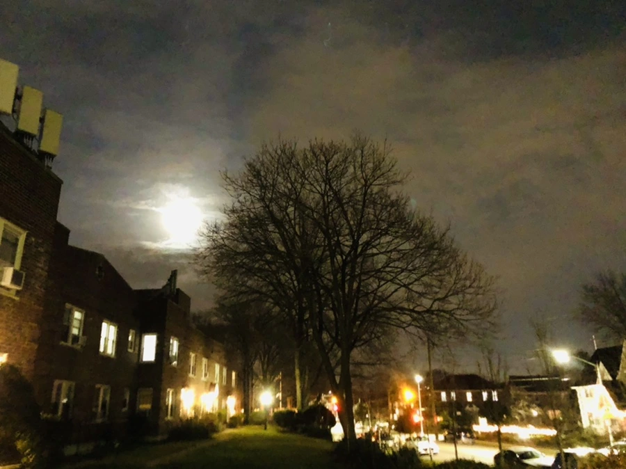 IMG_8571.jpg?type=w966