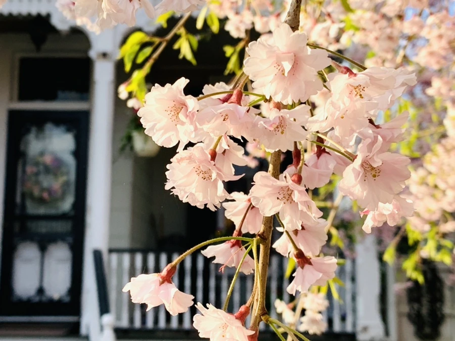 IMG_3674.jpg?type=w966