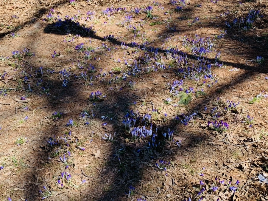 IMG_1437.jpg?type=w966