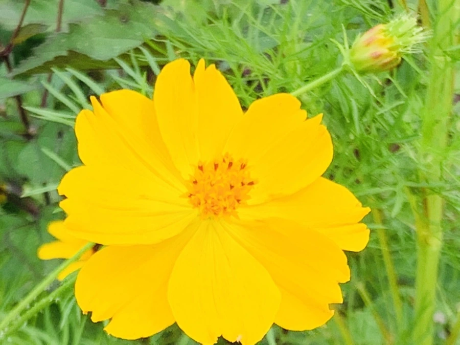 IMG_9459.jpg?type=w966