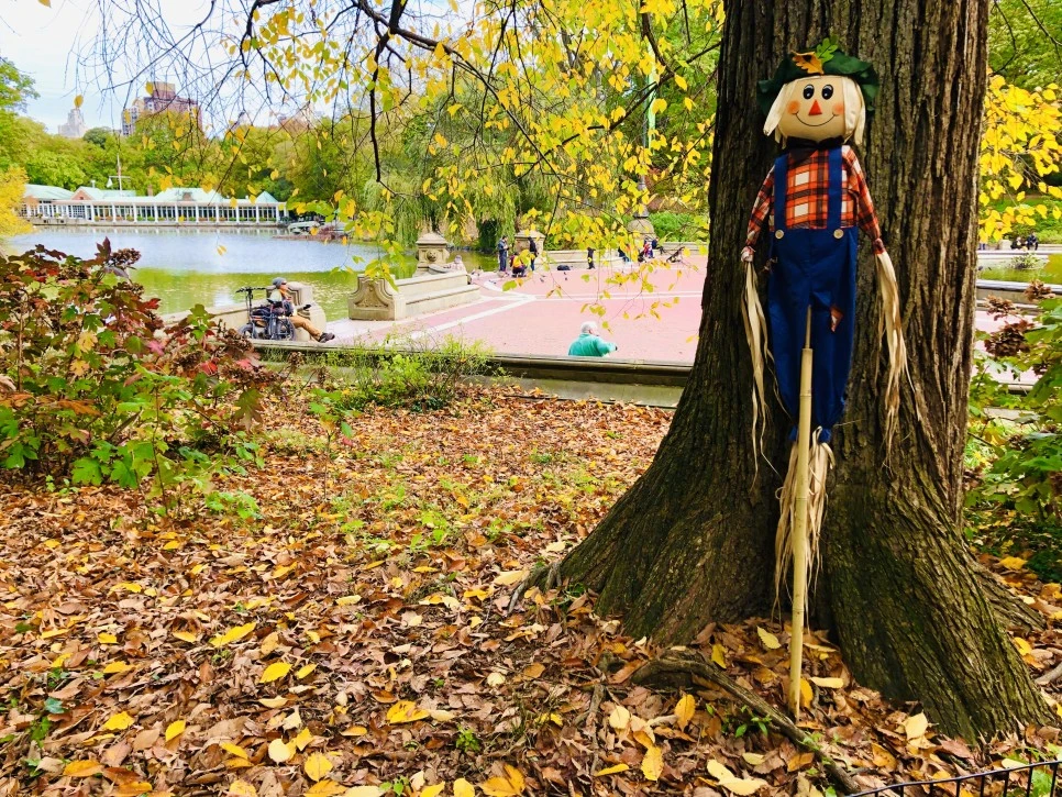 IMG_3036.jpg?type=w966