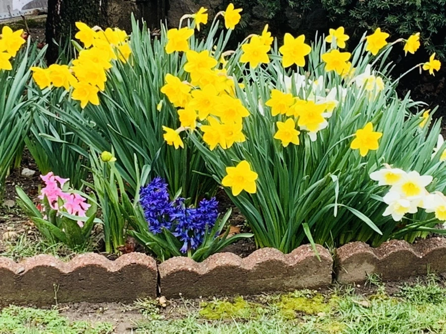 IMG_6105.jpg?type=w966