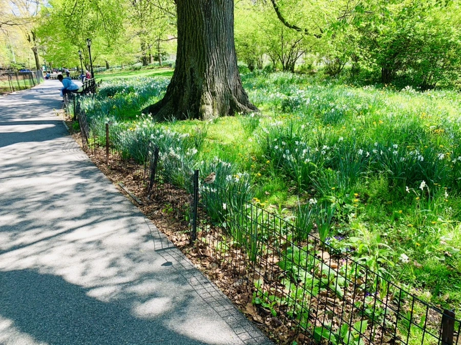 IMG_5693.jpg?type=w966