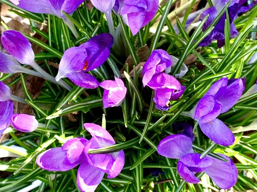 SkN2_1jMQ2GGvtk7eoZJFqV63jU