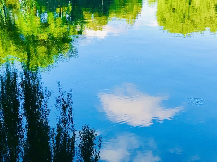 IMG_2882.jpg?type=w966