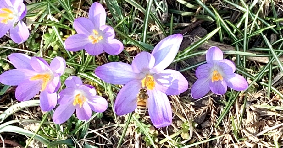 IMG_0227.jpg?type=w966