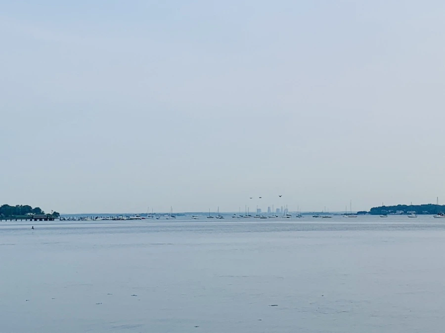 IMG_1616.jpg?type=w966