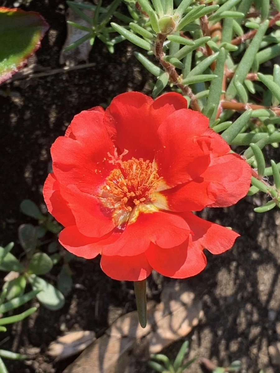 IMG_8391.jpg?type=w966