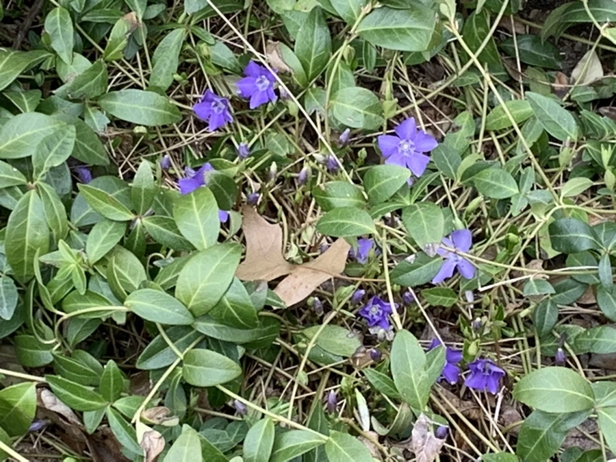 IMG_3691.jpg?type=w966