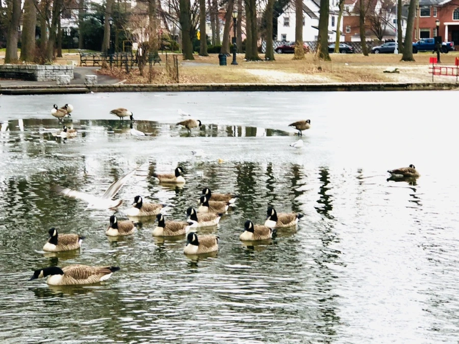 IMG_6425.jpg?type=w966