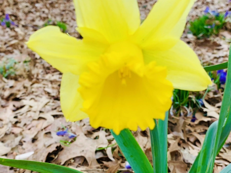 IMG_3458.jpg?type=w966