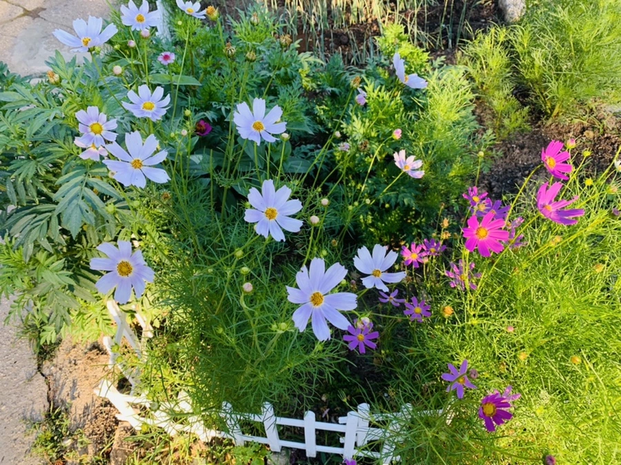 IMG_6503.jpg?type=w966