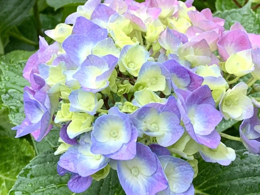 lcG1f-ed0TUgmpcdt2wmnn6AxKw