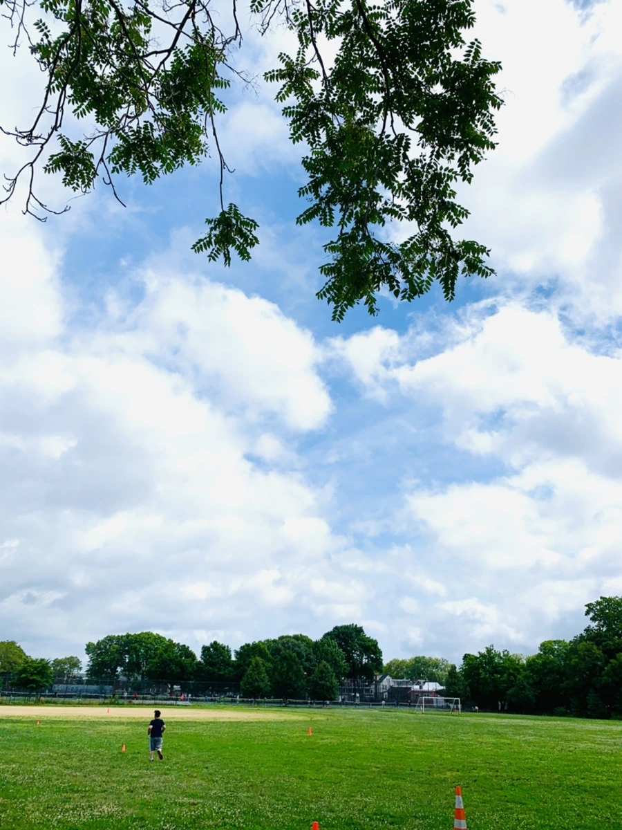 IMG_7395.jpg?type=w966