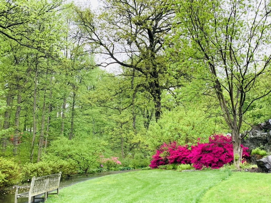 IMG_9912.jpg?type=w966