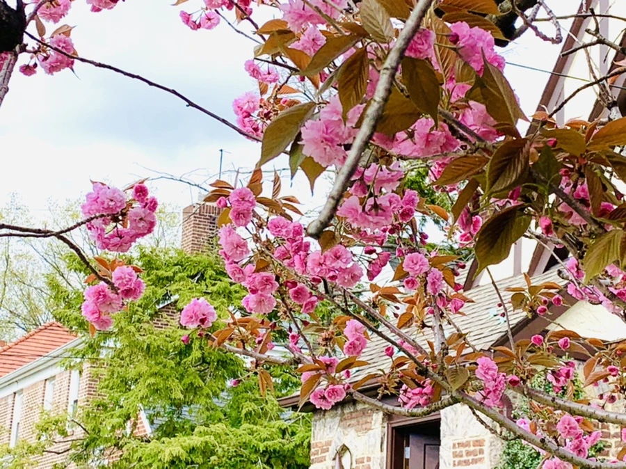 IMG_4359.jpg?type=w966