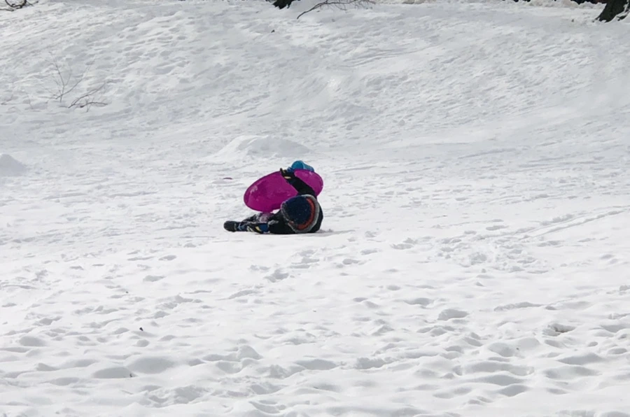 IMG_2398.jpg?type=w966