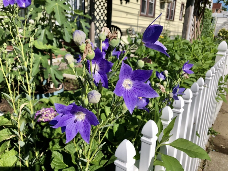 IMG_2362.jpg?type=w966