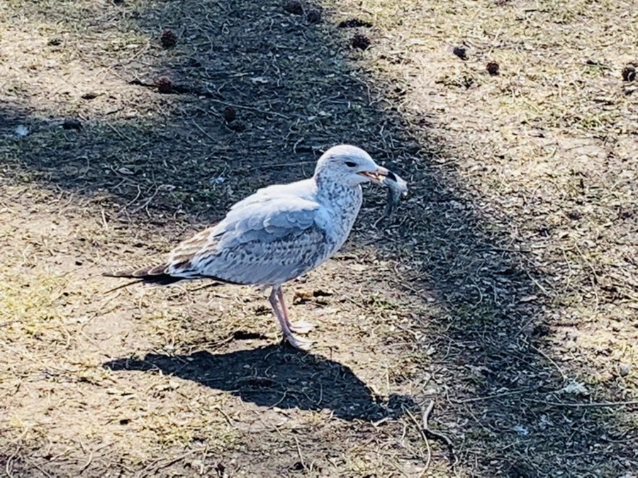 IMG_9281.jpg?type=w966