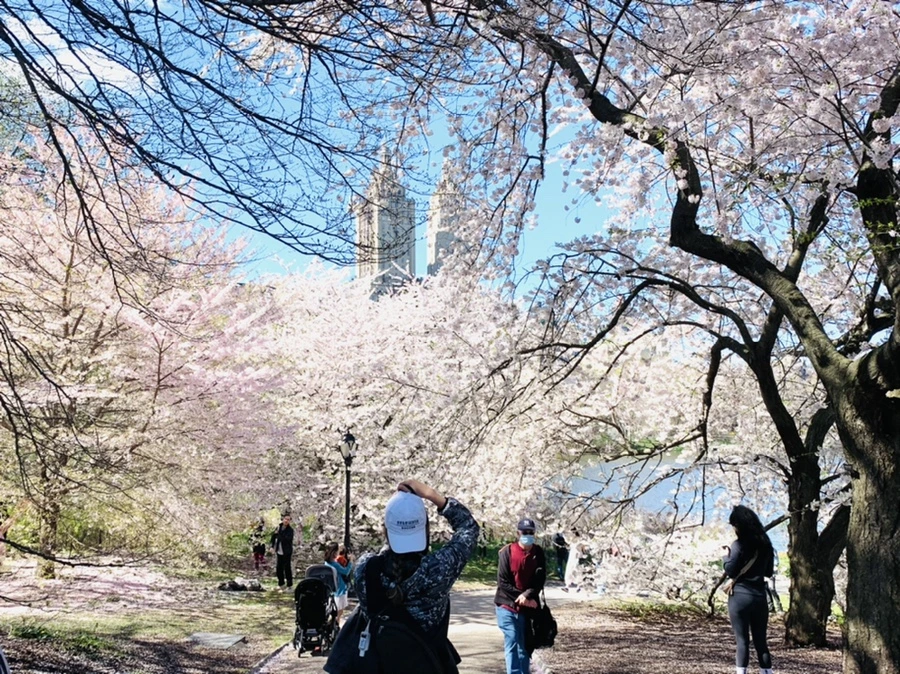 IMG_1827.jpg?type=w966