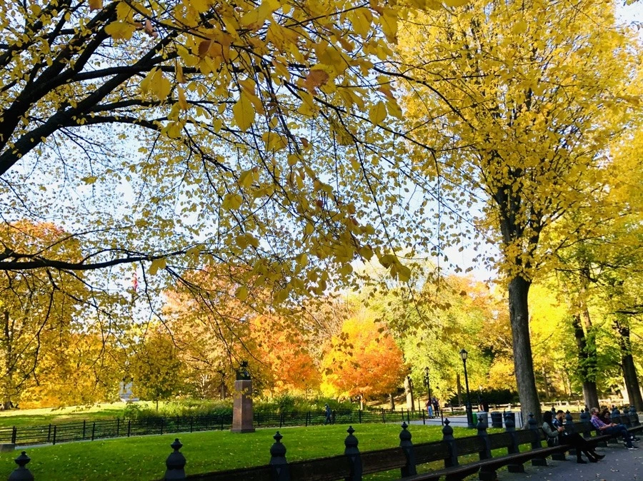 6Ls61gsA5HsFMqDskinCMSSBctU