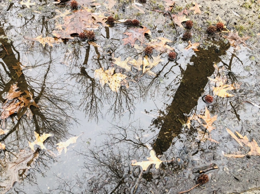 IMG_9539.jpg?type=w966