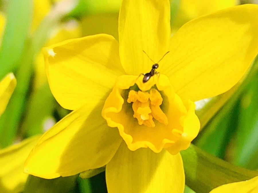 IMG_3423.jpg?type=w966