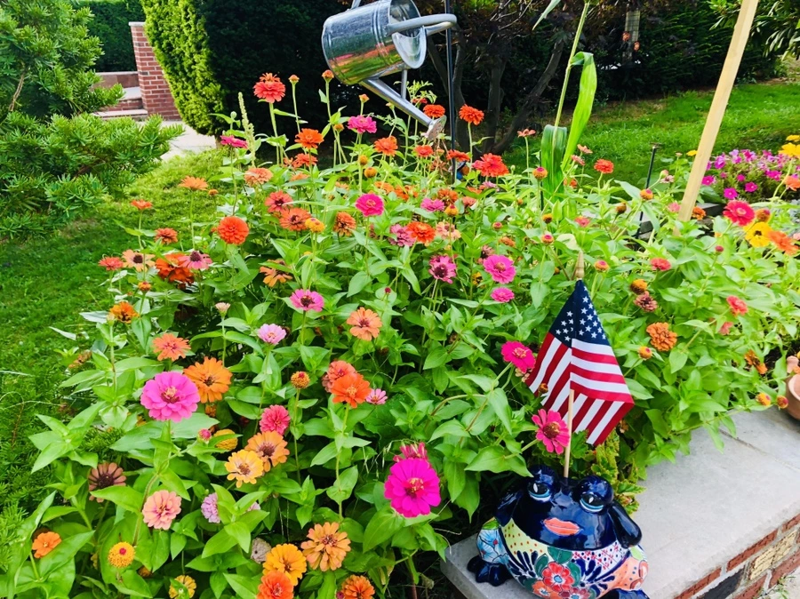 IMG_5667.jpg?type=w966