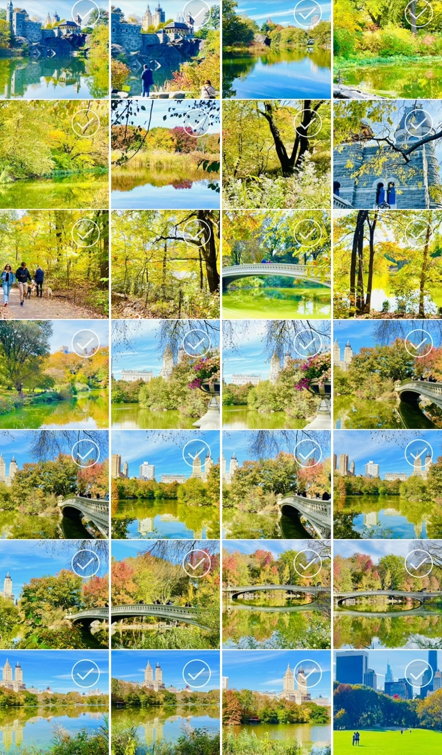 IMG_0424.jpg?type=w966